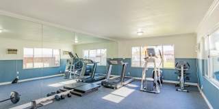 Buena Casa Gallery 26