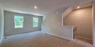 3251 Dannelly Towns Alley Gallery 22