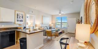 Authentix Suncoast Gallery 6