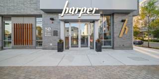 Harper Gallery 25