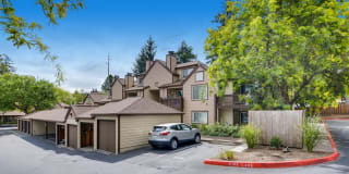 The Stratford Gallery 24