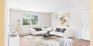 Wexford Village Gallery 6