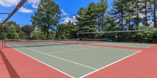 Walden Pond Gallery 8