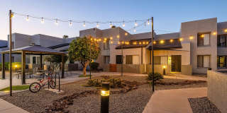 Lion Tempe Gallery 35