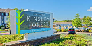 Kinsley Forest Gallery 30