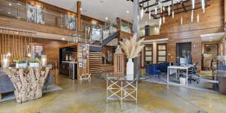 Sola Galleria Gallery 12