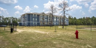 The Mason Fremaux Park Gallery 30