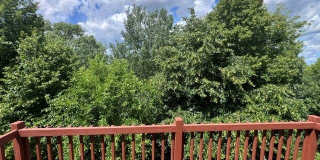 1429 Meadowsedge Lane Gallery 8