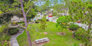 103 BRIGADOON DRIVE Gallery 23