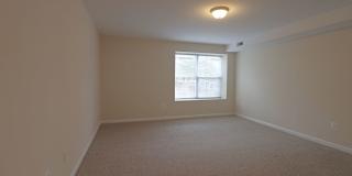 The Taylor Gallery 40