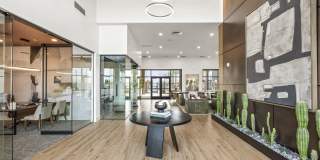 Amavida Marana Gallery 42