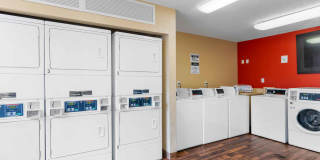 Fort Lauderdale - Davie Gallery 23