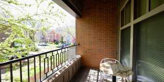 Settlement Place Gallery 426