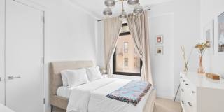 Dahlia Gallery 7