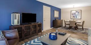 Cobalt Springs Gallery 3