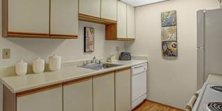 A'Cappella Gallery 5