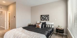 C2 Apartments Gallery 25