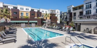 Bell Mt. Tam Gallery 15