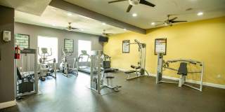 Willow Creek Gallery 8