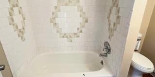 Westminster Gallery 10