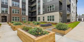 Everleigh Deerfield Age 55+ Apartment Homes Gallery 33