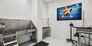 Verdell Pointe Gallery 24