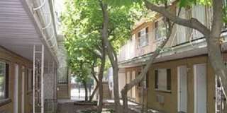 2530 W Foster Ave Gallery 6