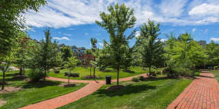 7981 Vigne Court Gallery 30
