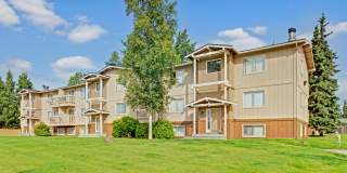 Conifer Grove Gallery 16