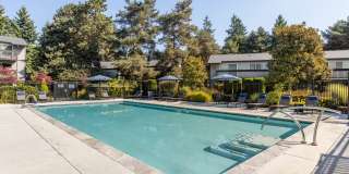 Alder Bellevue Gallery 16