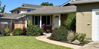 Updated Single Story Home with Cupertino Schools Gallery 1