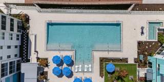 The Vivien Gallery 60