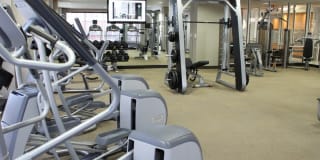 Thomas Court Gallery 21