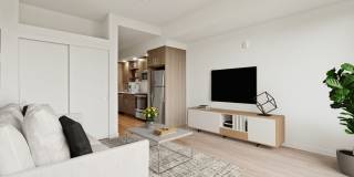 The Fifty at Division Gallery 3