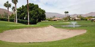 73561 Dalea Lane Gallery 47