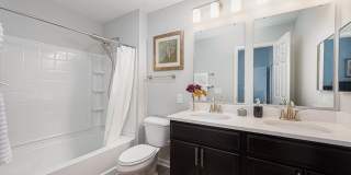 Liberty Reserve Gallery 18