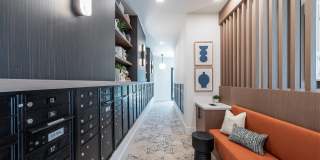 Alta Citron Gallery 13