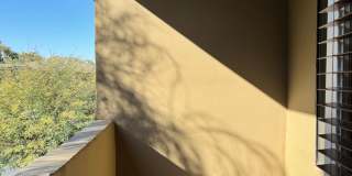 Polo Villas Gallery 15