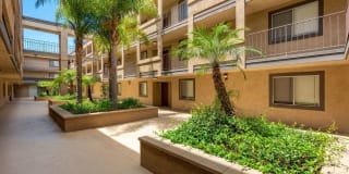 Elan View Pointe Gallery 3