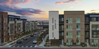 Claro at High Point Gallery 11