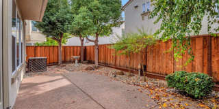 Stunning Updated 3 Bedroom Home in Desirable Tassajara Meadows Across from Emerald Glen Park Stunning Updated 3 Bedroom Home in Desirable Tassajara Meadows Across from Emerald Glen Park Gallery 45