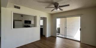 475 E Cypress Ave. Gallery 86