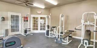 Paradise Falls Gallery 16