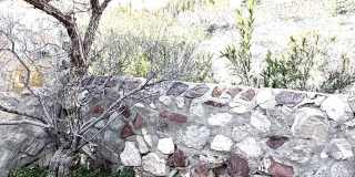 6035 BANDOLERO Drive unit: C Gallery 47