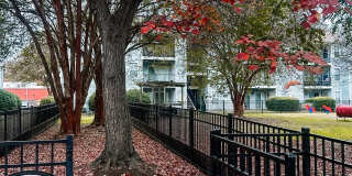Hampton Center Gallery 11