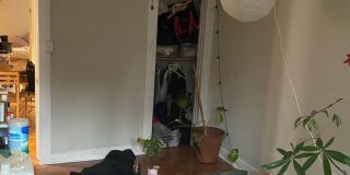 Great 2 bedroom Available 6/1 Gallery 14