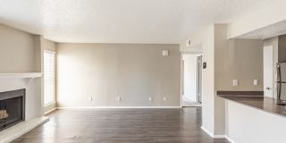 Athena Athena Gallery 39