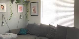 *4661 Arizona Gallery 1