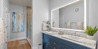 The Vivien Gallery 22