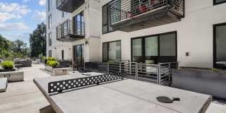 The Olive The Olive Gallery 8